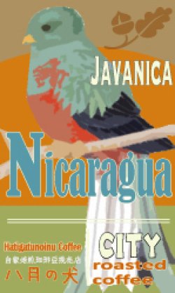 画像1: ニカラグア ファゼンダ リモンシリョ ジャバニカ　５００g　