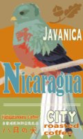 ニカラグア  ジャバニカ　２００g　コーヒー　コーヒー豆