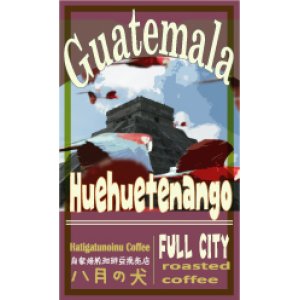 画像: ２００g　グアテマラ SHB ウエウエティナンゴ　【コーヒー豆】【お試し】 【コーヒー】 【珈琲豆】【無農薬】【健康】